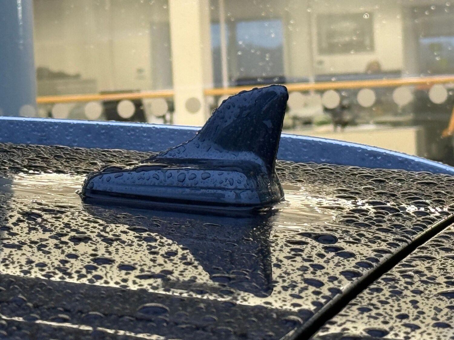 Used Audi Q5 for sale - 77704796: Photo 48