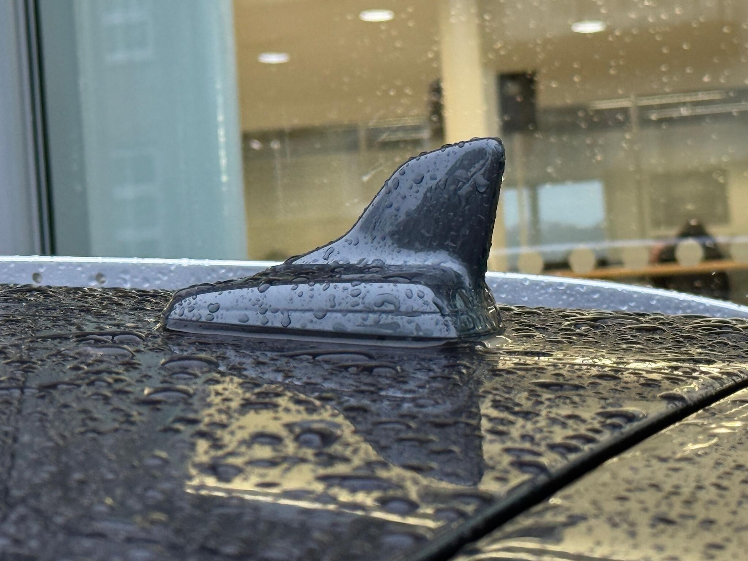 Used Audi Q5 2021 for sale - 77144359: Photo 52