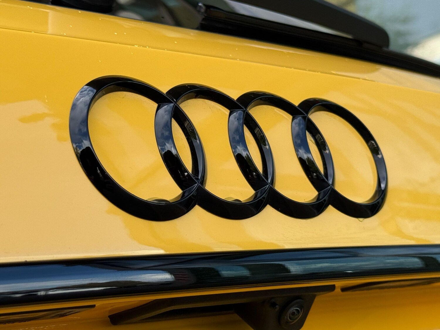 Used Audi RS4 2025 for sale - 76781518: Photo 37