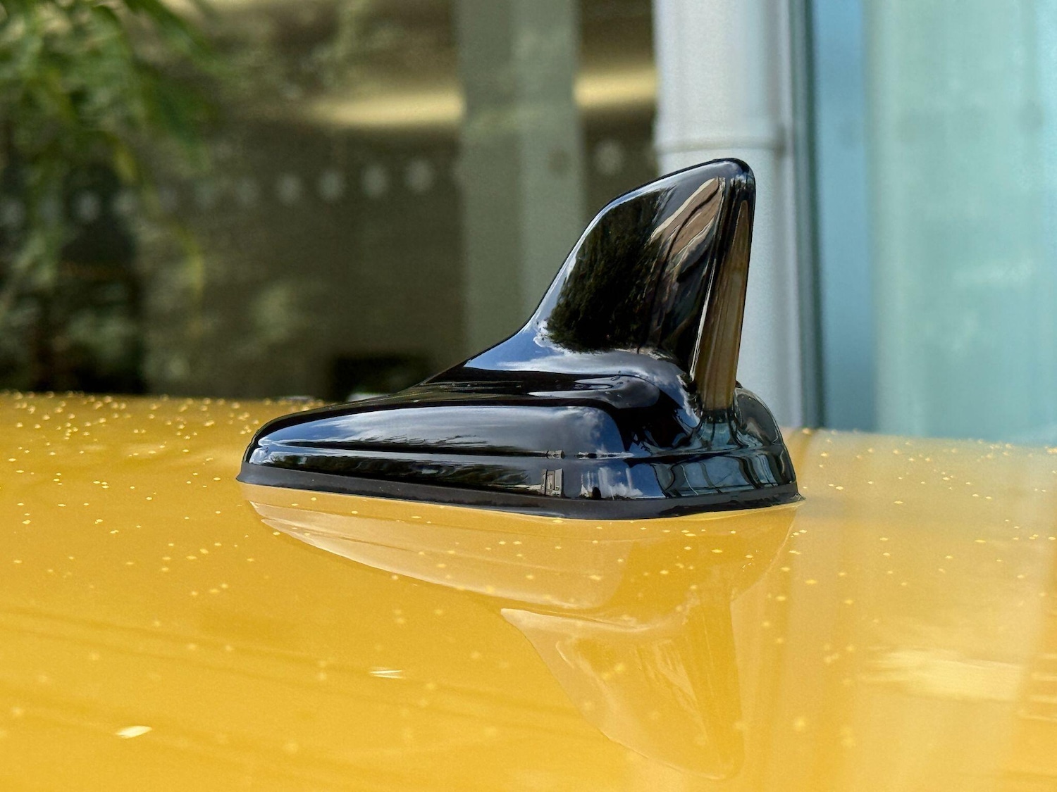 Used Audi RS4 2025 for sale - 76781518: Photo 39