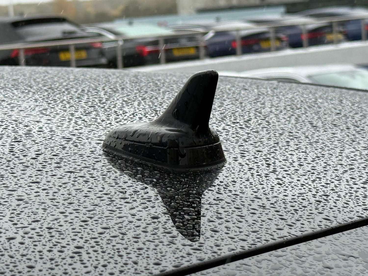 Used Audi RS3 2019 for sale - 76457927: Photo 43