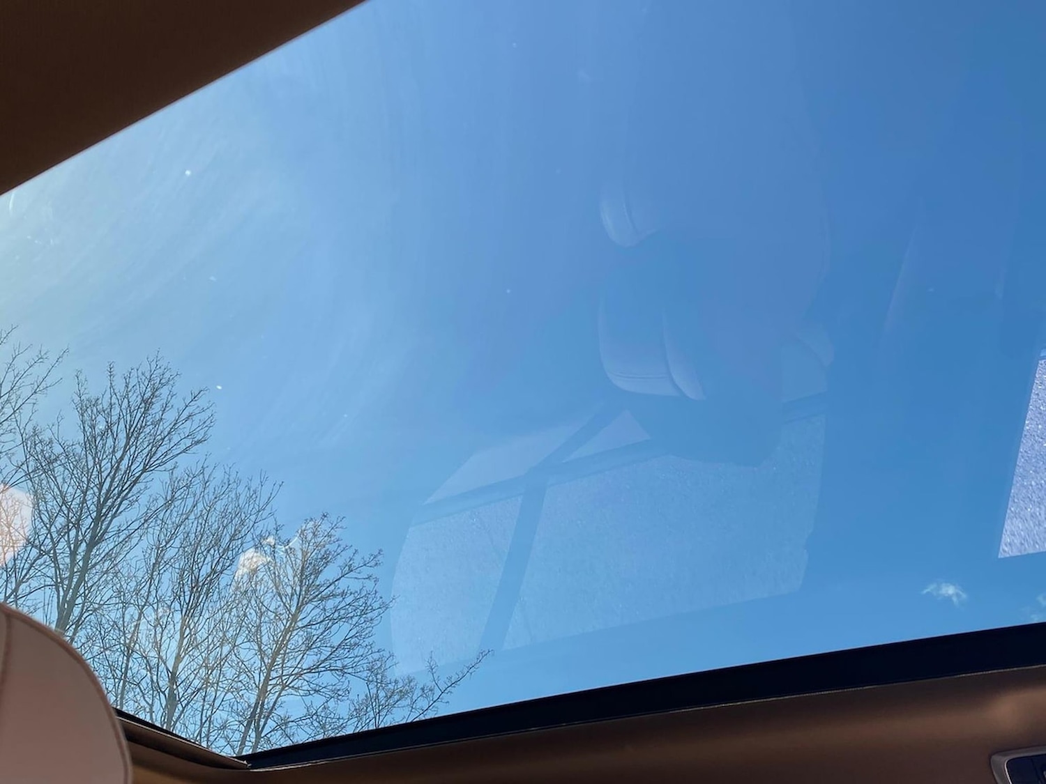 Used Land Rover Range Rover 2022 for sale - 78202047: Photo 28