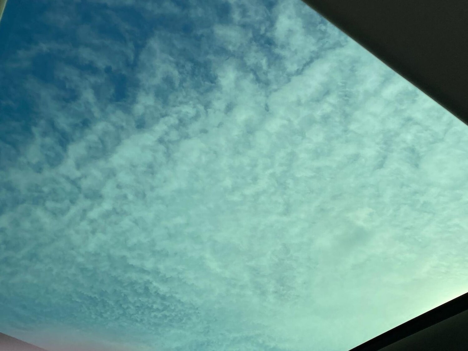 Used Land Rover Range Rover 2024 for sale - 78193744: Photo 28