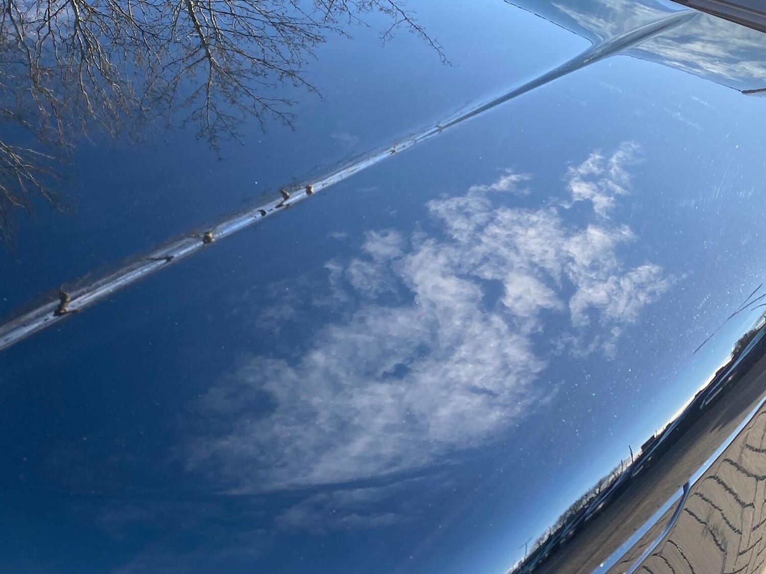 Used Land Rover Range Rover 2025 for sale - 77851489: Photo 20