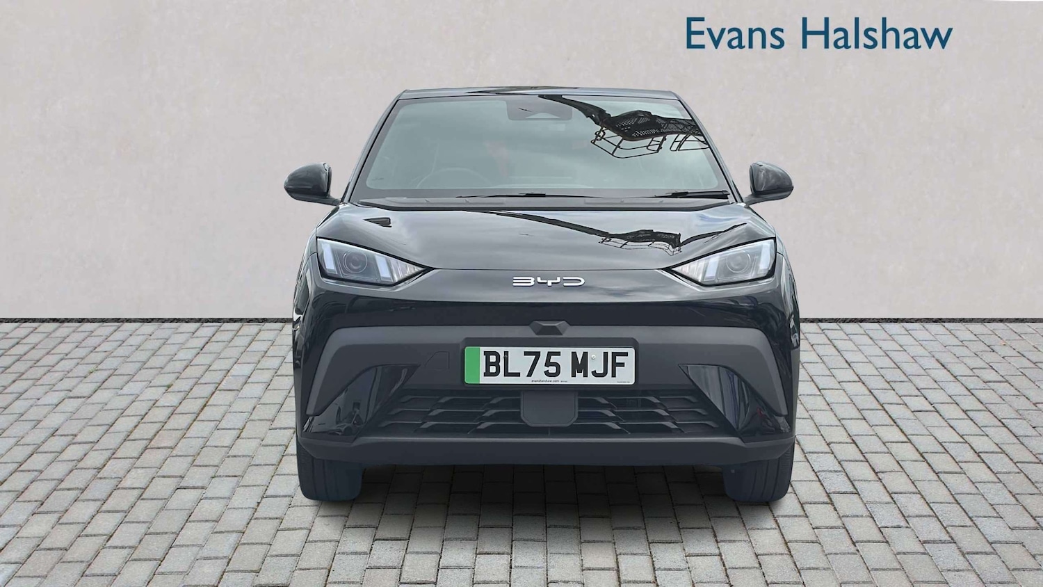 Used BYD Dolphin for sale - 77857051: Photo 4