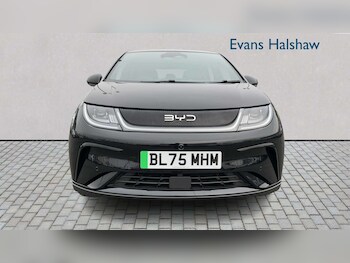 Used BYD Dolphin 2025 for sale - 77862264: Photo