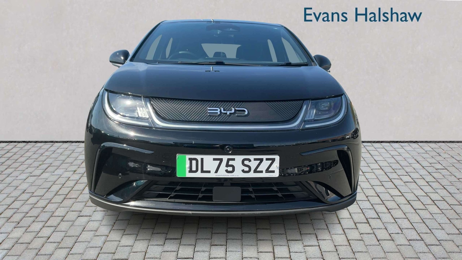 Used BYD Dolphin 2026 for sale - 78173567: Photo 4