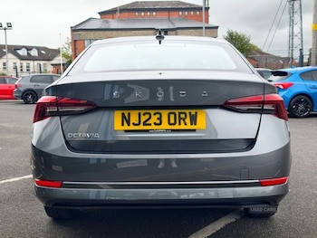 Used Skoda Octavia 2023 for sale - 79329113: Photo