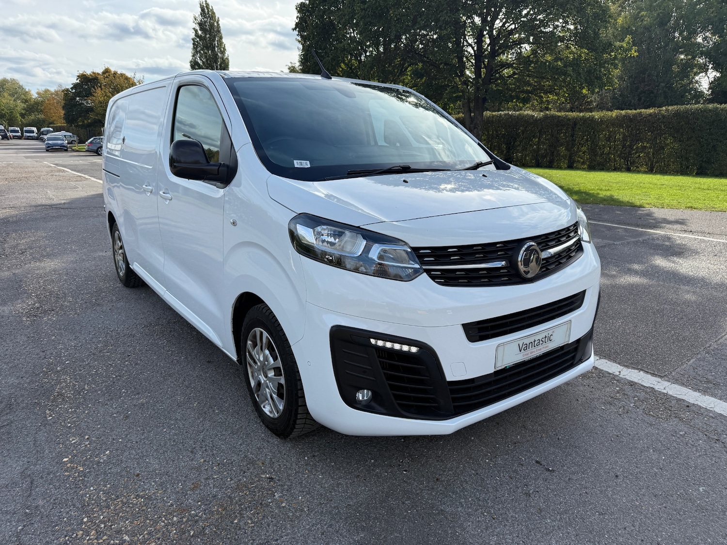 Used Vauxhall Vivaro 2020 for sale - 76218857: Photo 1