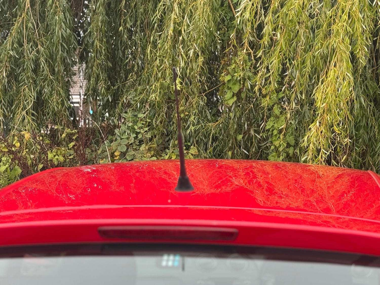 Used SEAT Ibiza 2015 for sale - 76990265: Photo 61