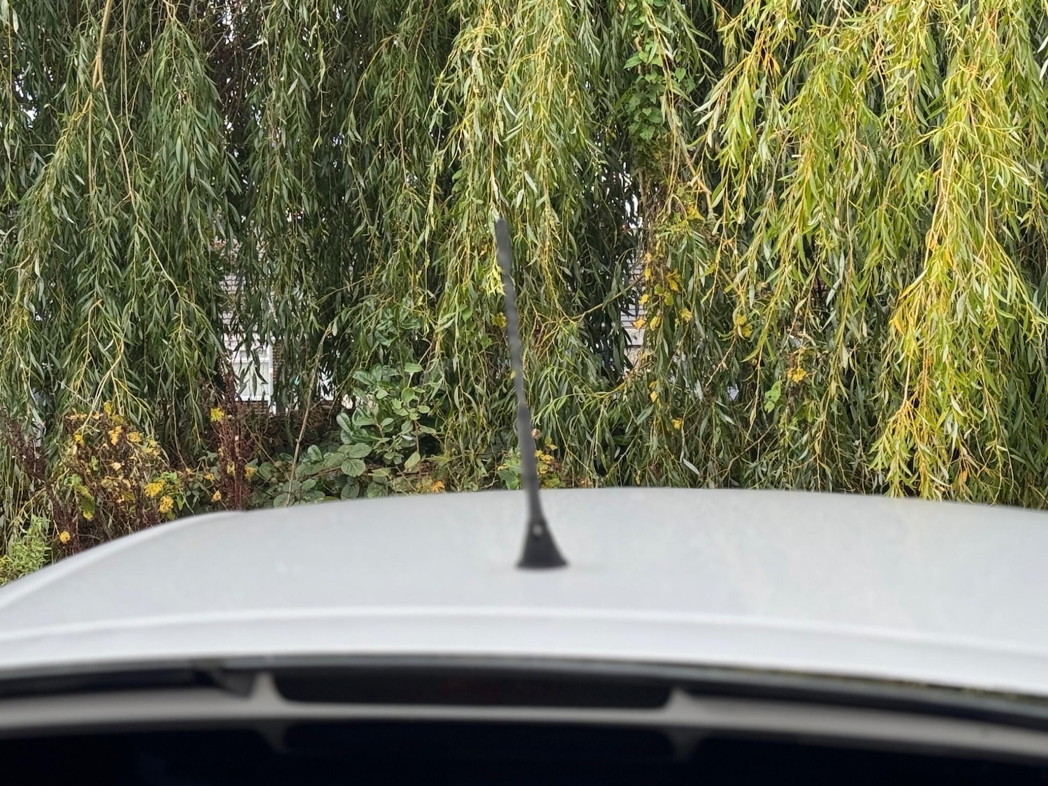 Used SEAT Ibiza for sale - 76538703: Photo 73