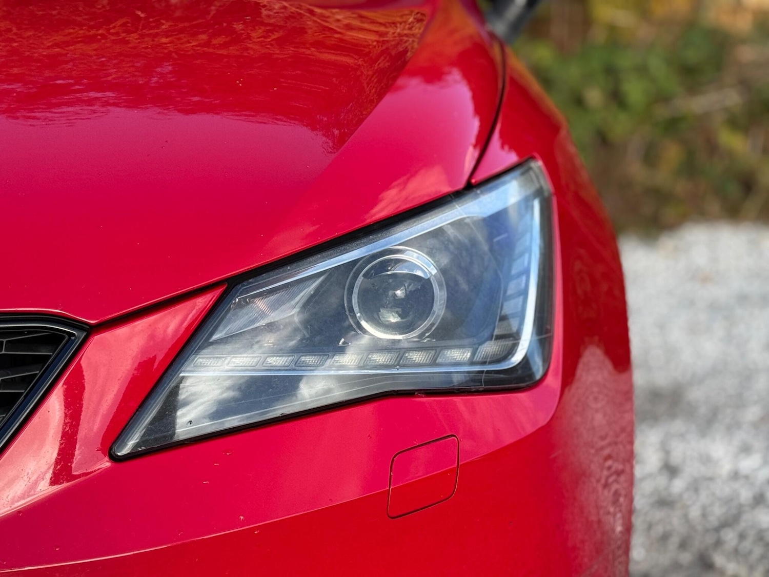 Used SEAT Ibiza 2014 for sale - 76398380: Photo 51