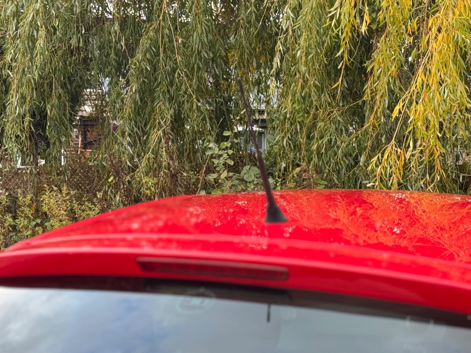 Used SEAT Ibiza 2014 for sale - 76398380: Photo 59