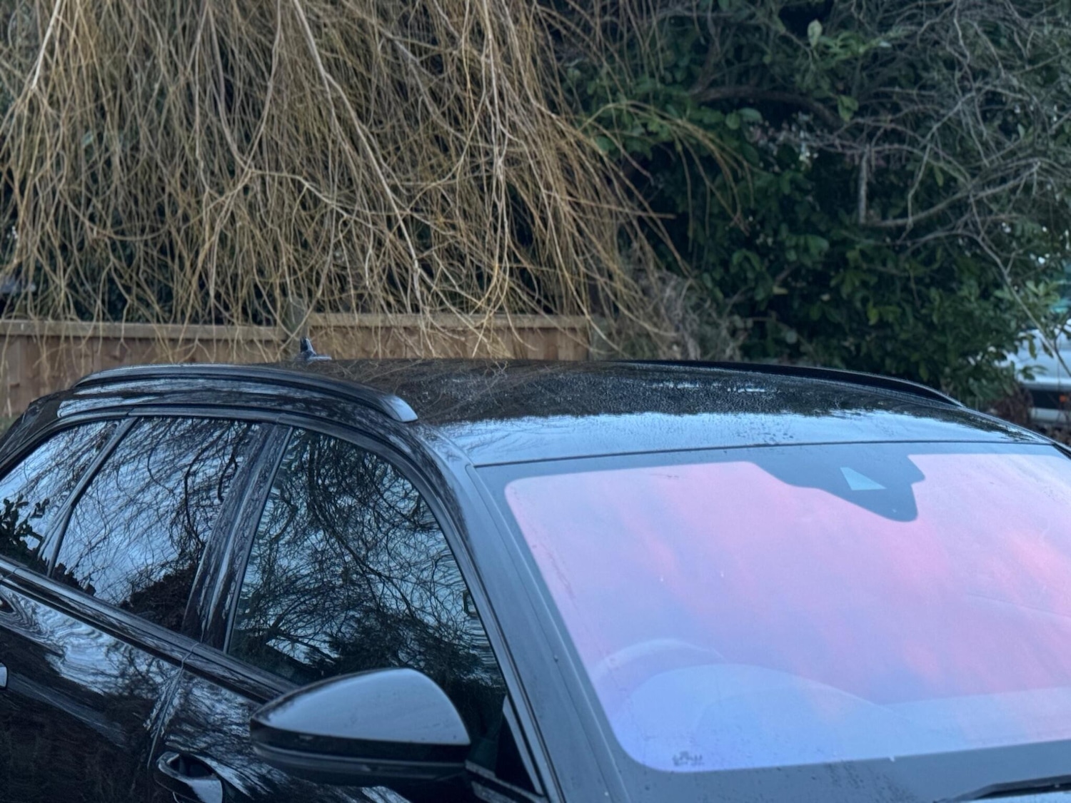 Used Audi A6 Avant 2019 for sale - 77091504: Photo 49