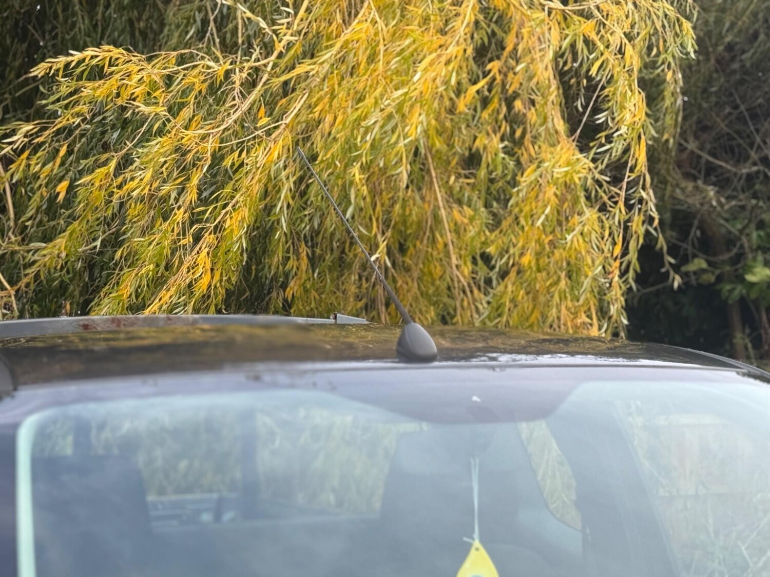 Used Ford Ranger 2014 for sale - 76409602: Photo 60