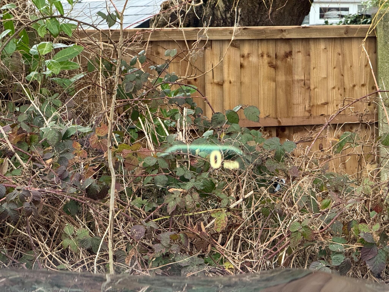 Used BMW 7 Series 2017 for sale - 77237609: Photo 37