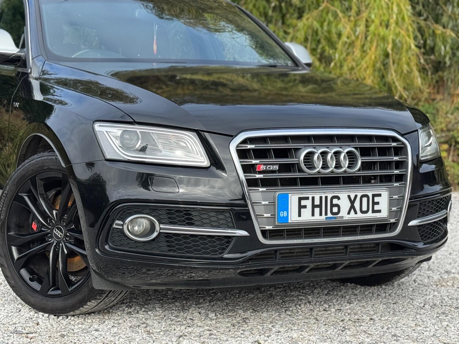 Used Audi SQ5 2016 for sale - 76137528: Photo 68