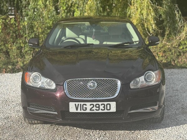 Used Jaguar XF 2010 for sale - 75678281: Photo 4