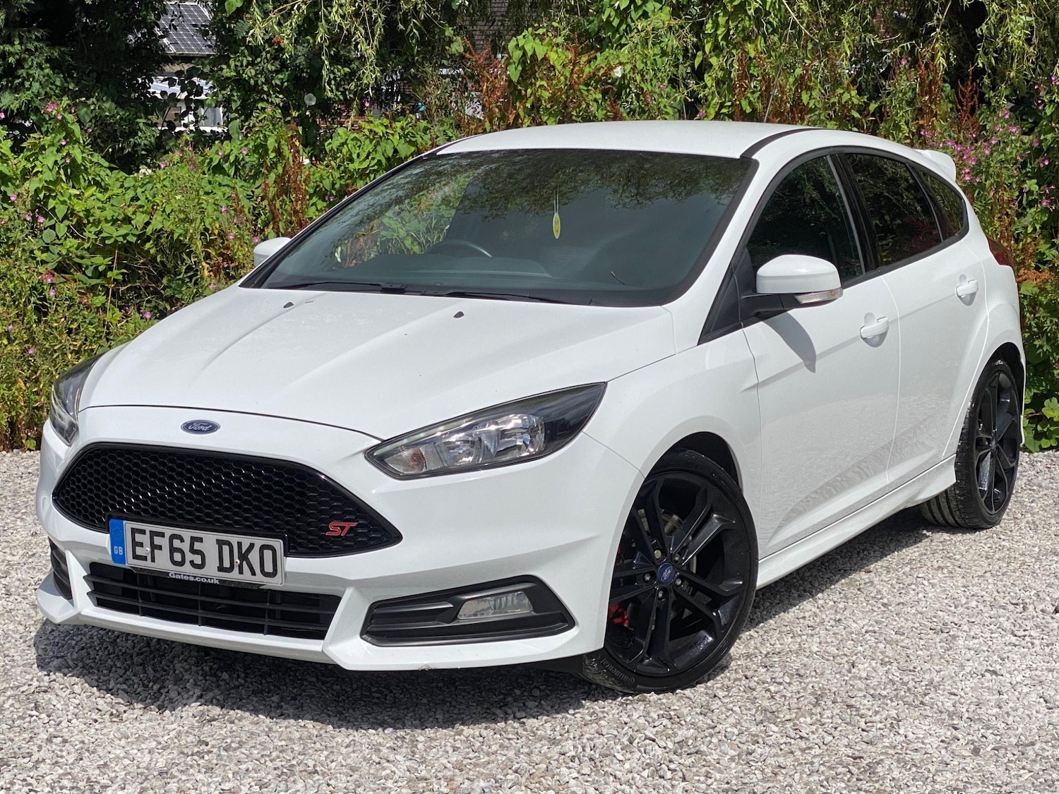 Used Ford Focus 2015 for sale - 76377618: Photo 3