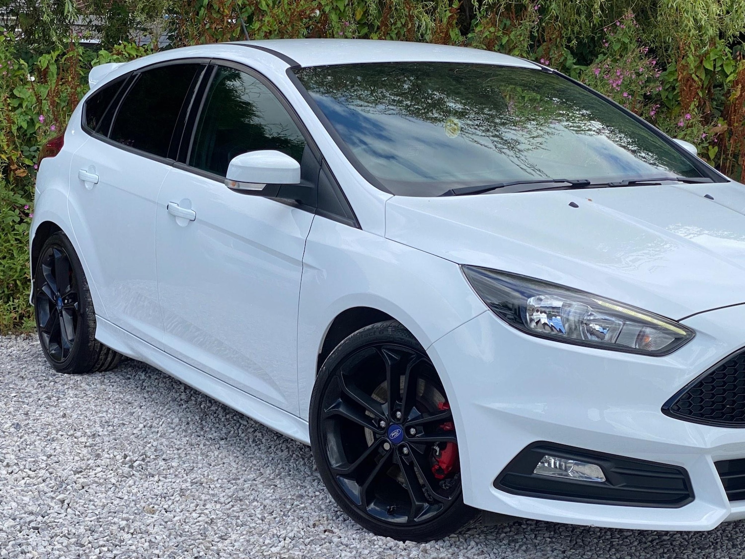 Used Ford Focus 2015 for sale - 76377618: Photo 7