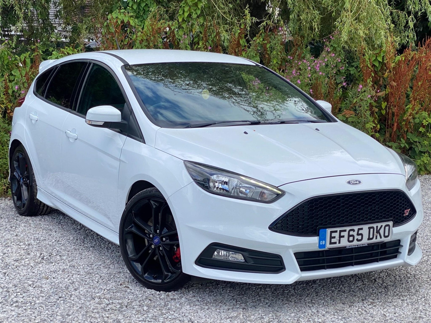 Used Ford Focus 2015 for sale - 76377618: Photo 8
