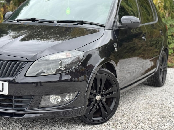 Used Skoda Fabia 2013 for sale - 76085045: Photo 62