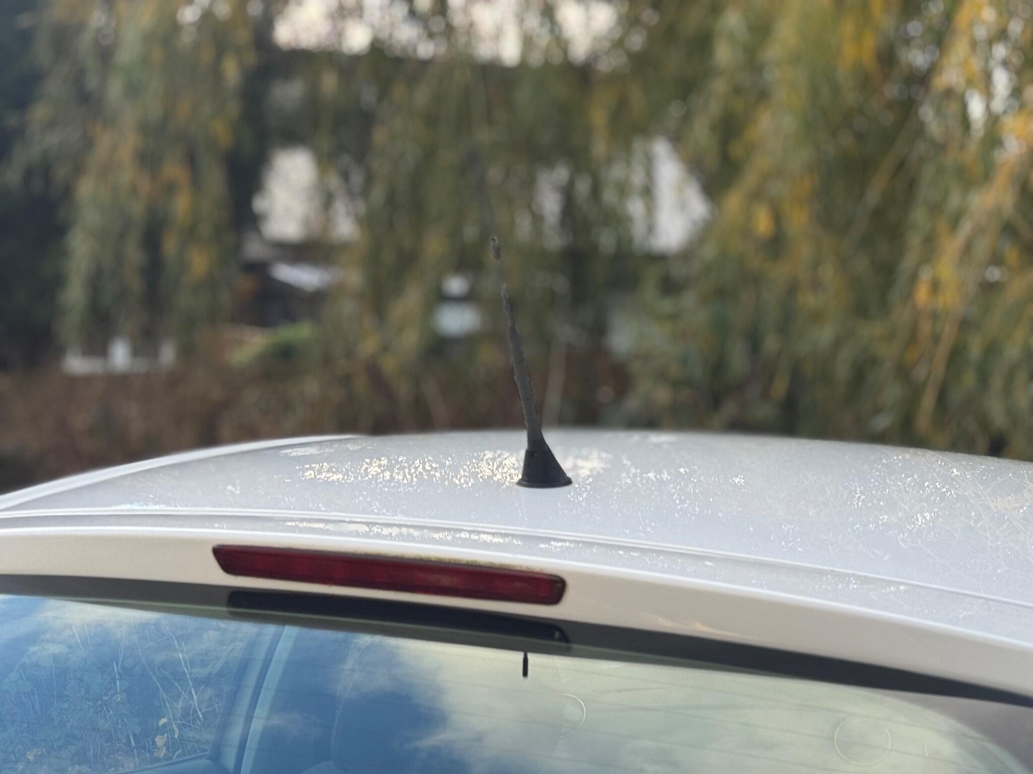 Used SEAT Ibiza 2013 for sale - 76562473: Photo 67