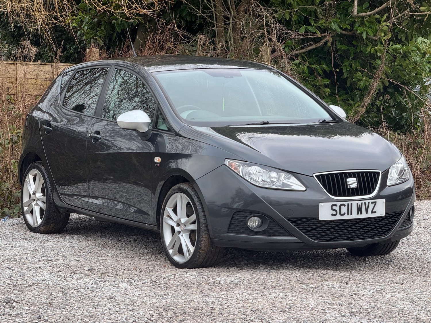 Used SEAT Ibiza 2011 for sale - 76996596: Photo 5