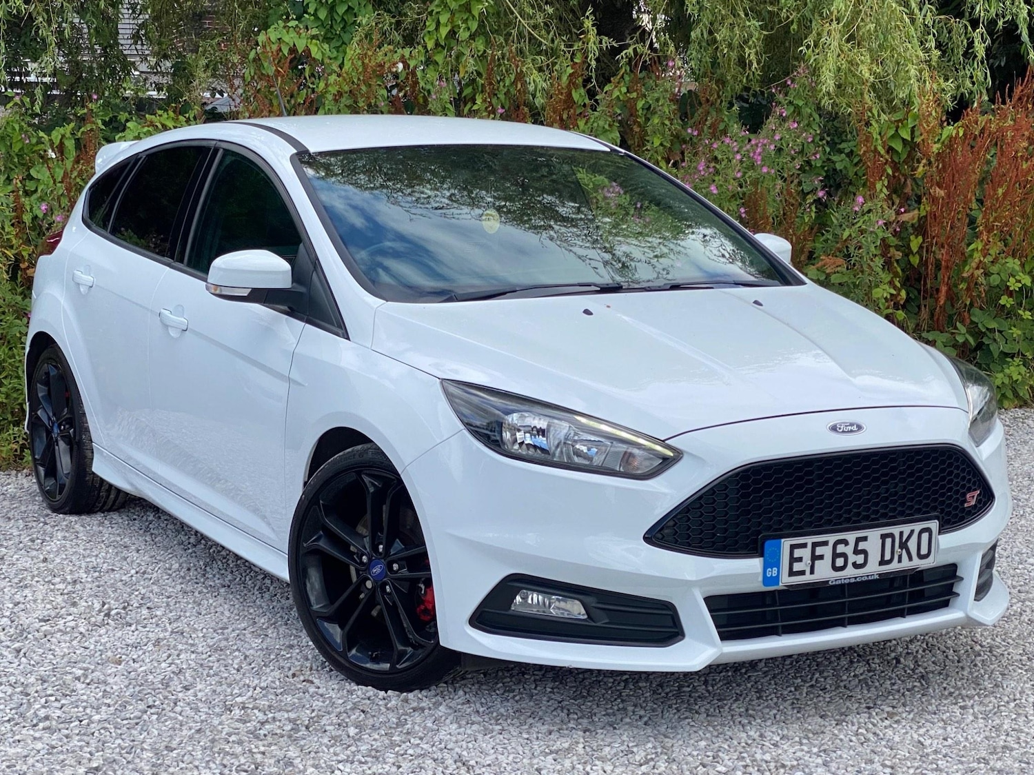 Used Ford Focus 2015 for sale - 77131815: Photo 1