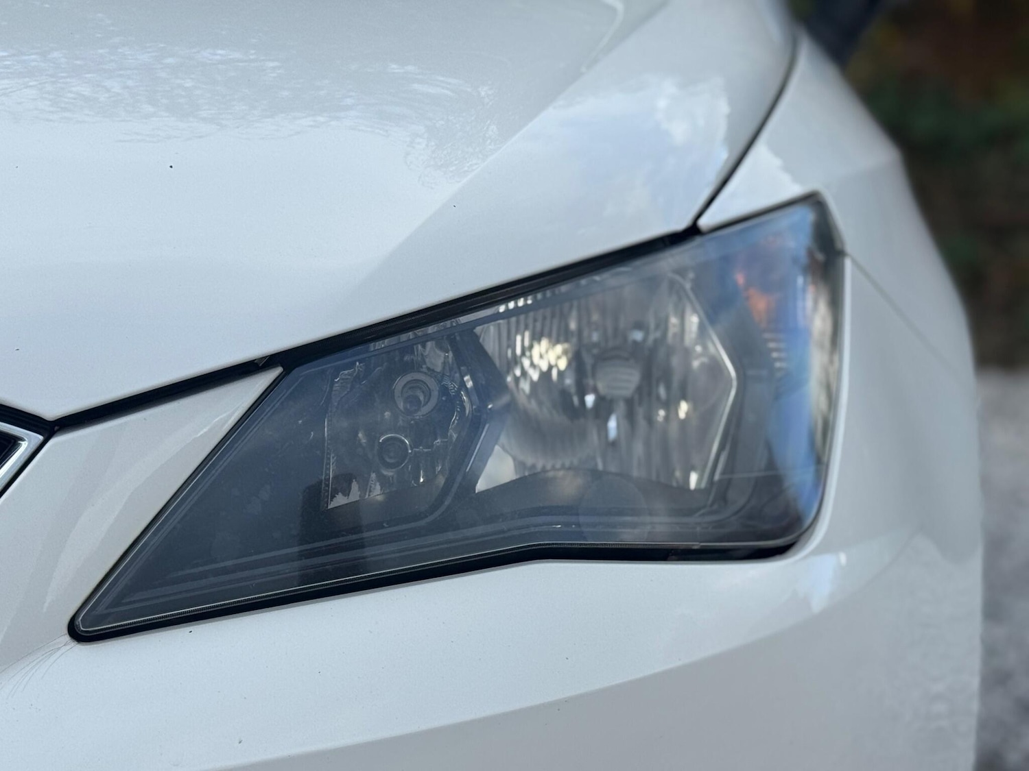 Used SEAT Ibiza 2013 for sale - 76997049: Photo 61