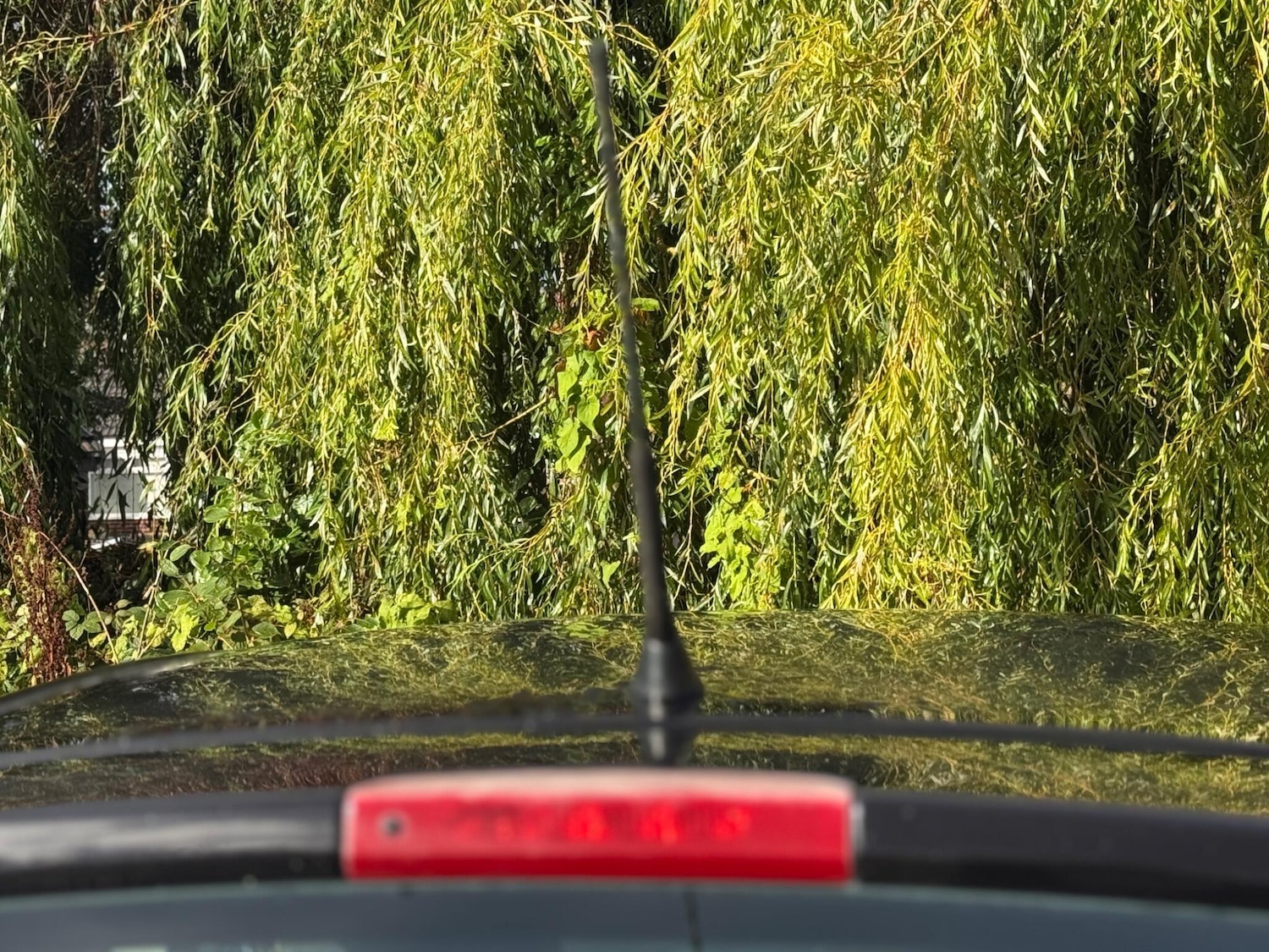 Vehicle 54