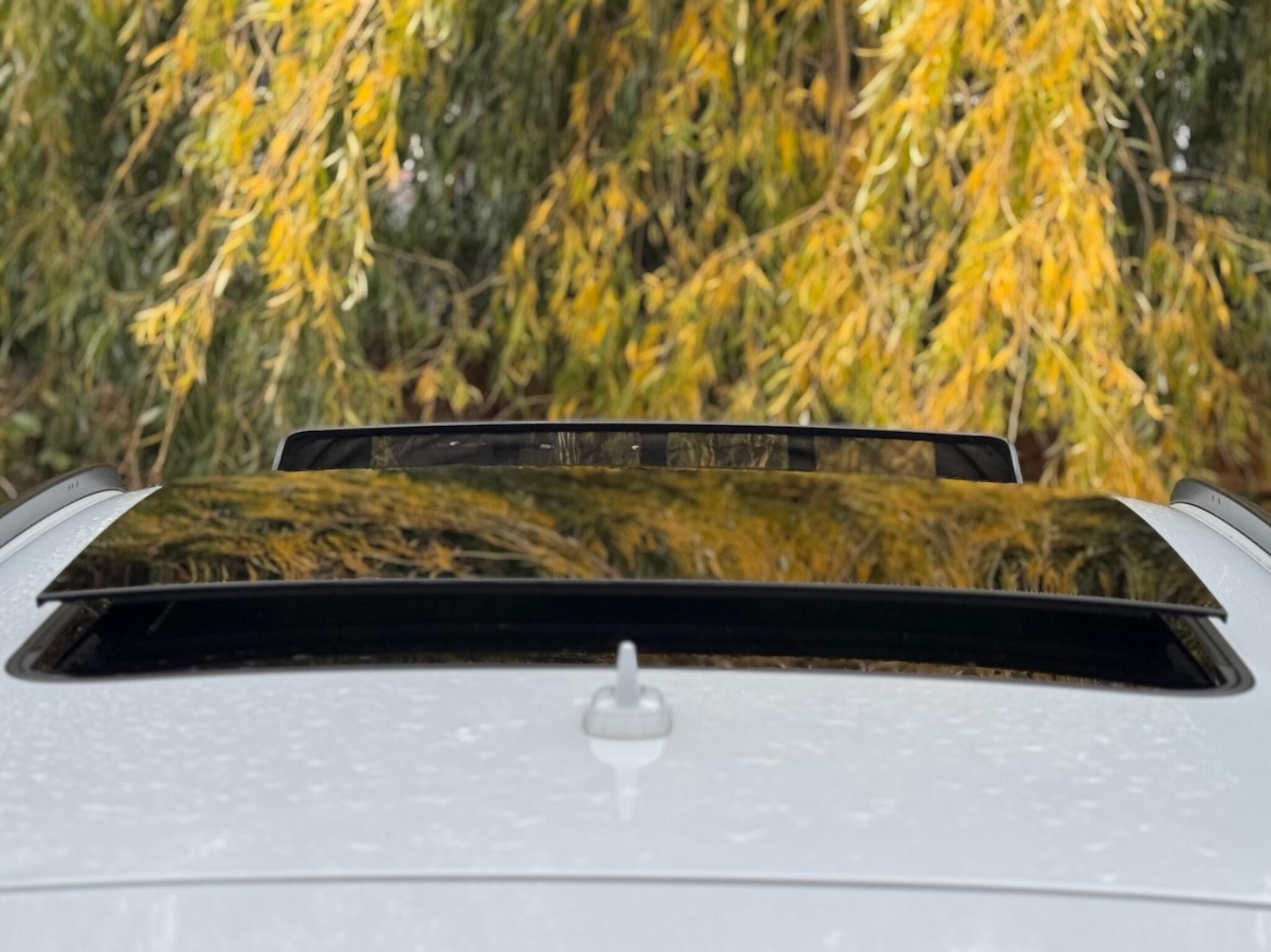 Used Audi Q5 for sale - 76432591: Photo 77