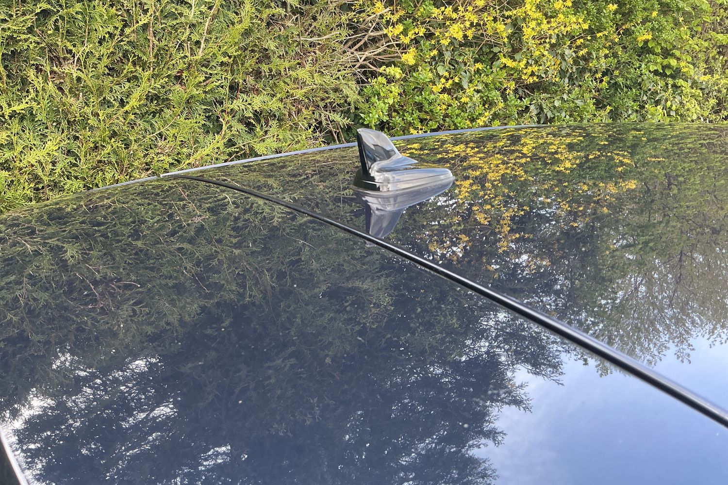 Used Audi A1 2019 for sale - 78088172: Photo 31