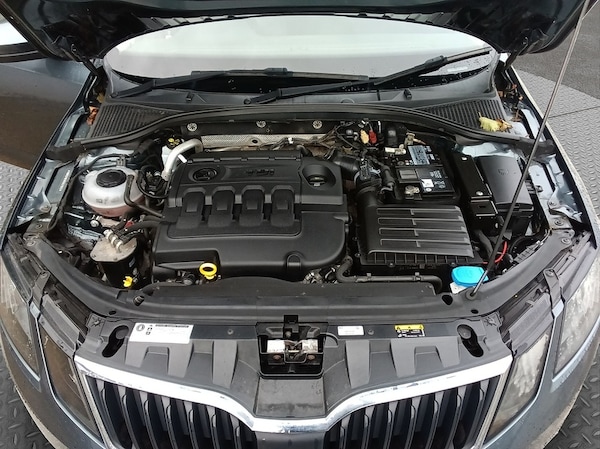 Used Skoda Octavia 2025 for sale - 76047093: Photo 23