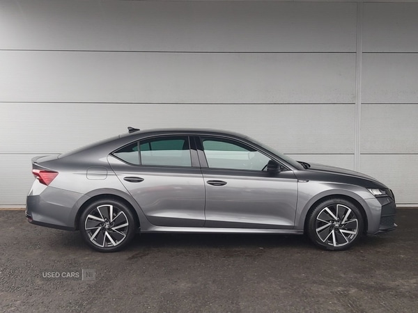 Used Skoda Octavia 2025 for sale - 77525531: Photo 3