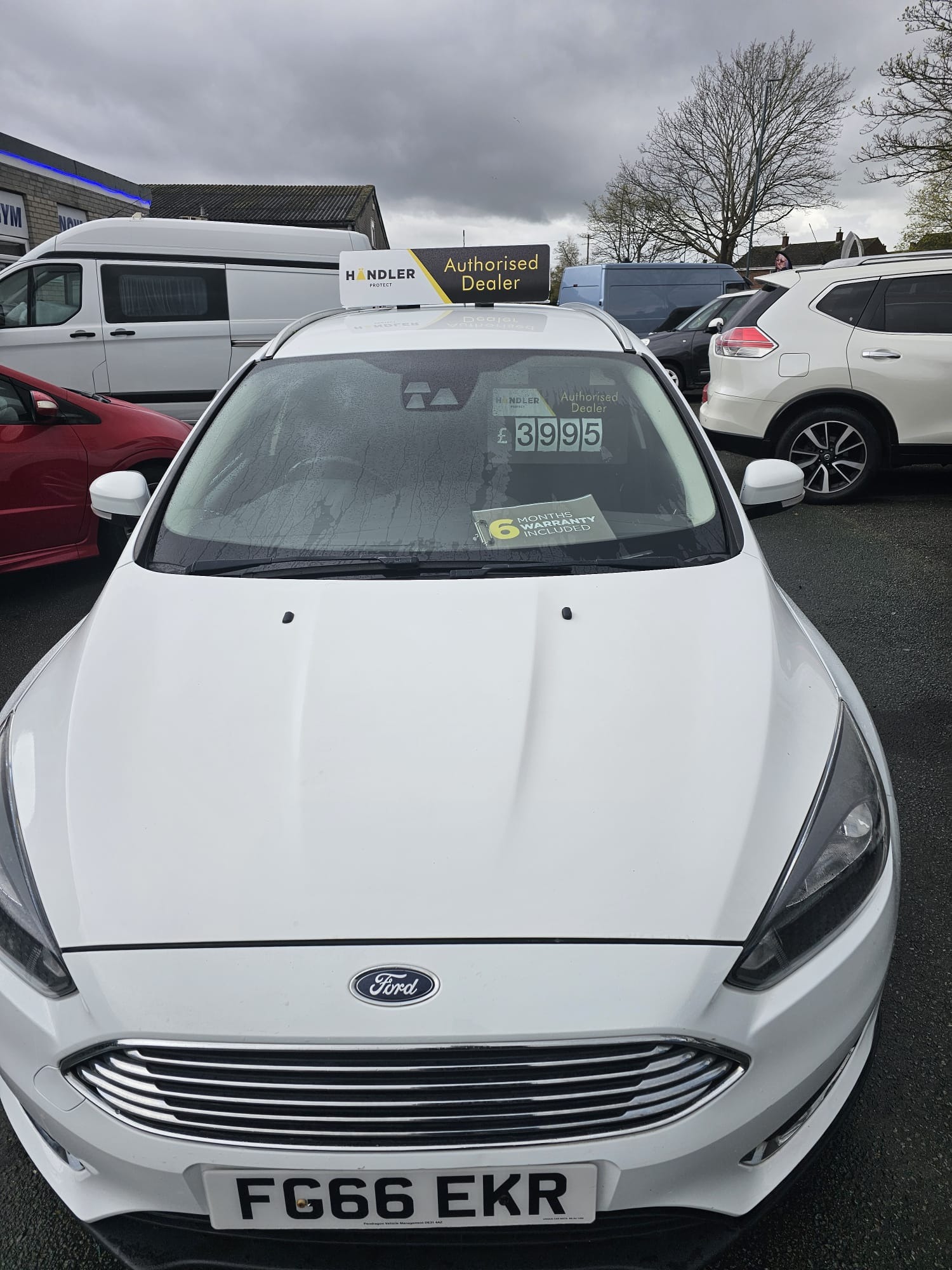 Used Ford Focus 2016 for sale - 78065057: Photo 6
