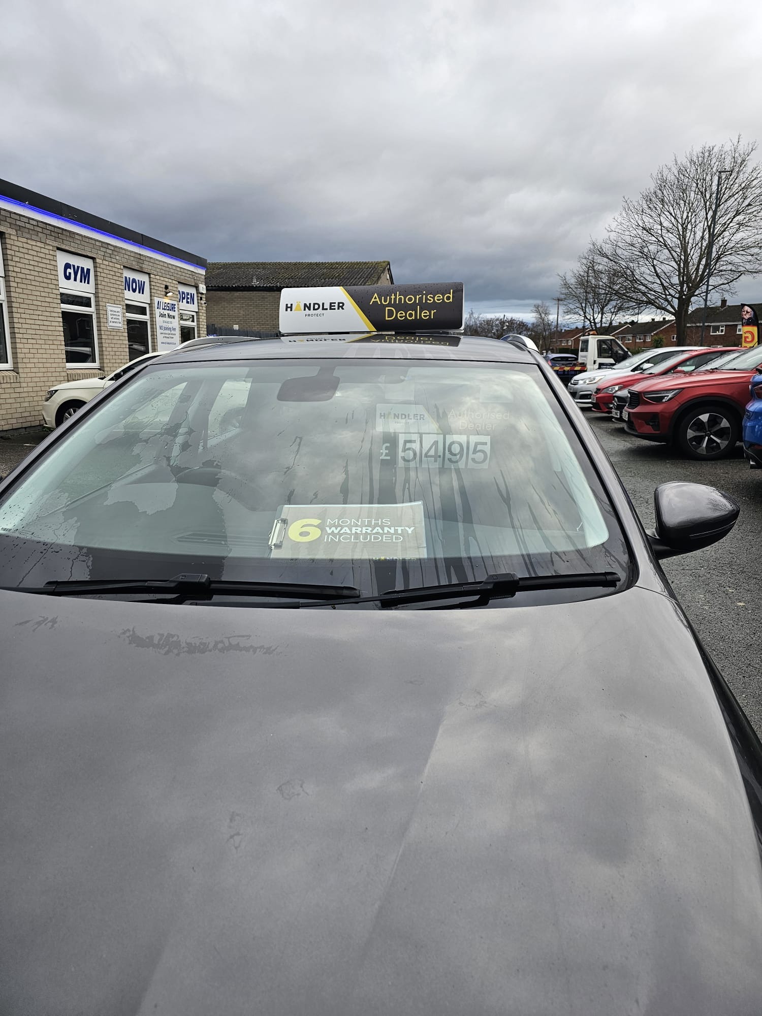 Used Peugeot 308 2016 for sale - 77093769: Photo 4