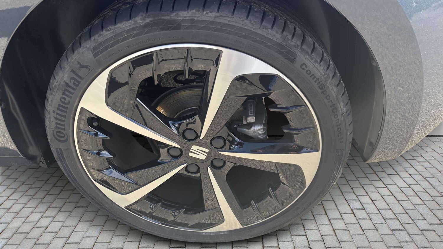 Used SEAT Ibiza 2025 for sale - 78052019: Photo 7