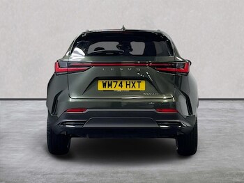 Used Lexus NX 2024 for sale - 76305426: Photo