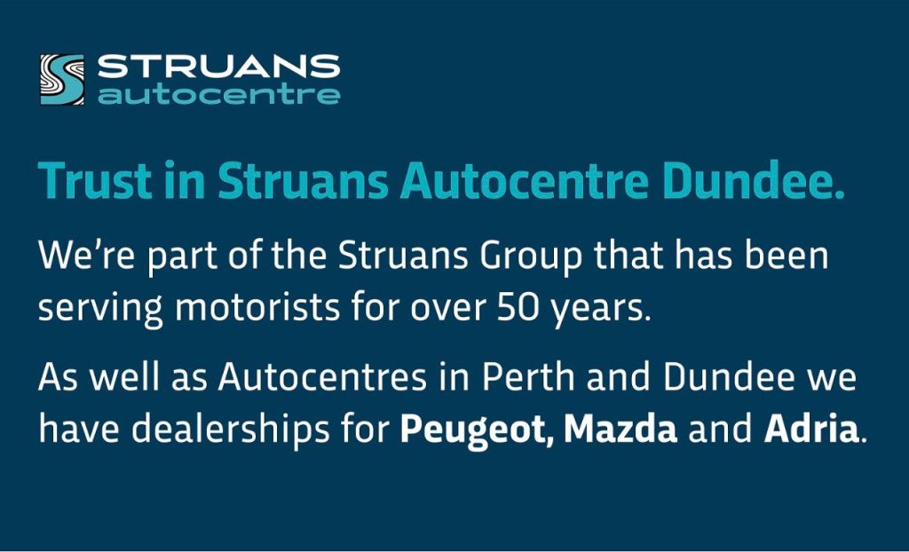 Used Tesla Model 3 2021 for sale - 76840412: Photo 35