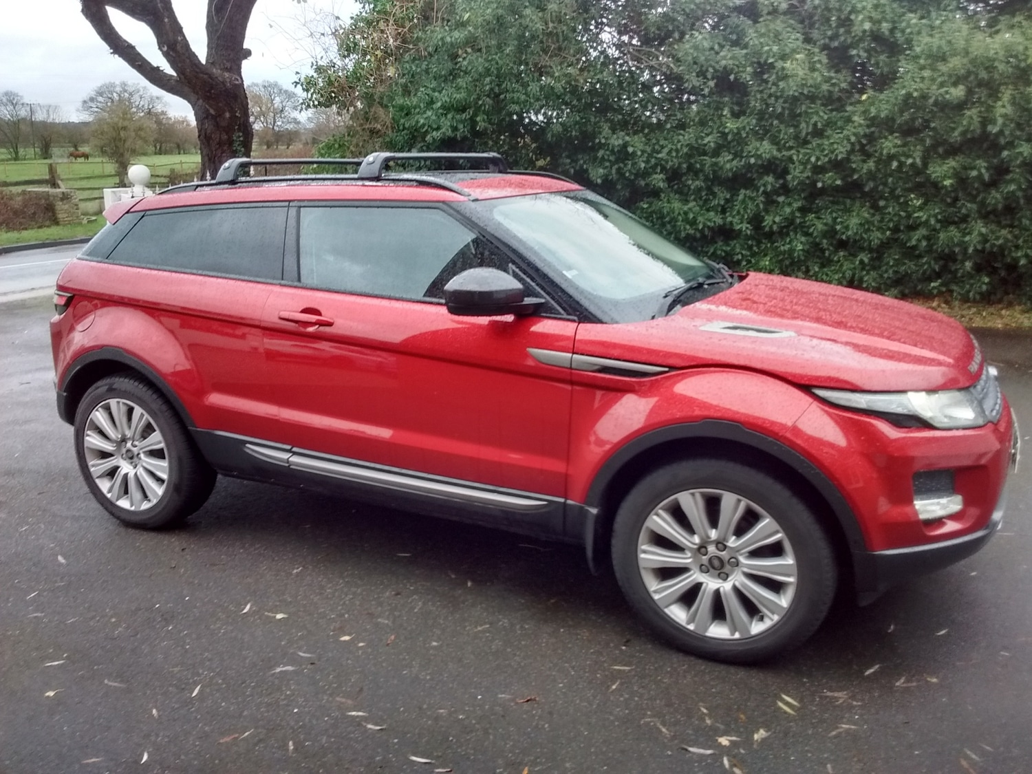 Used Land Rover Range Rover Evoque 2014 for sale - 76859925: Photo 6