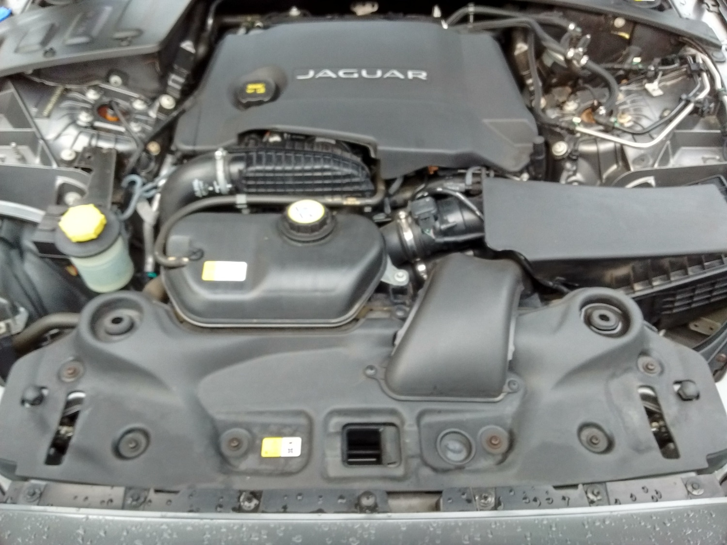 Used Jaguar XJ 2015 for sale - 77151560: Photo 35