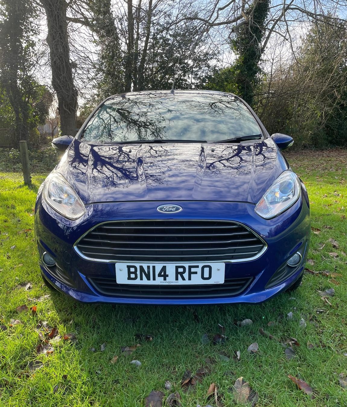 Used Ford Fiesta 2014 for sale - 77005555: Photo 2