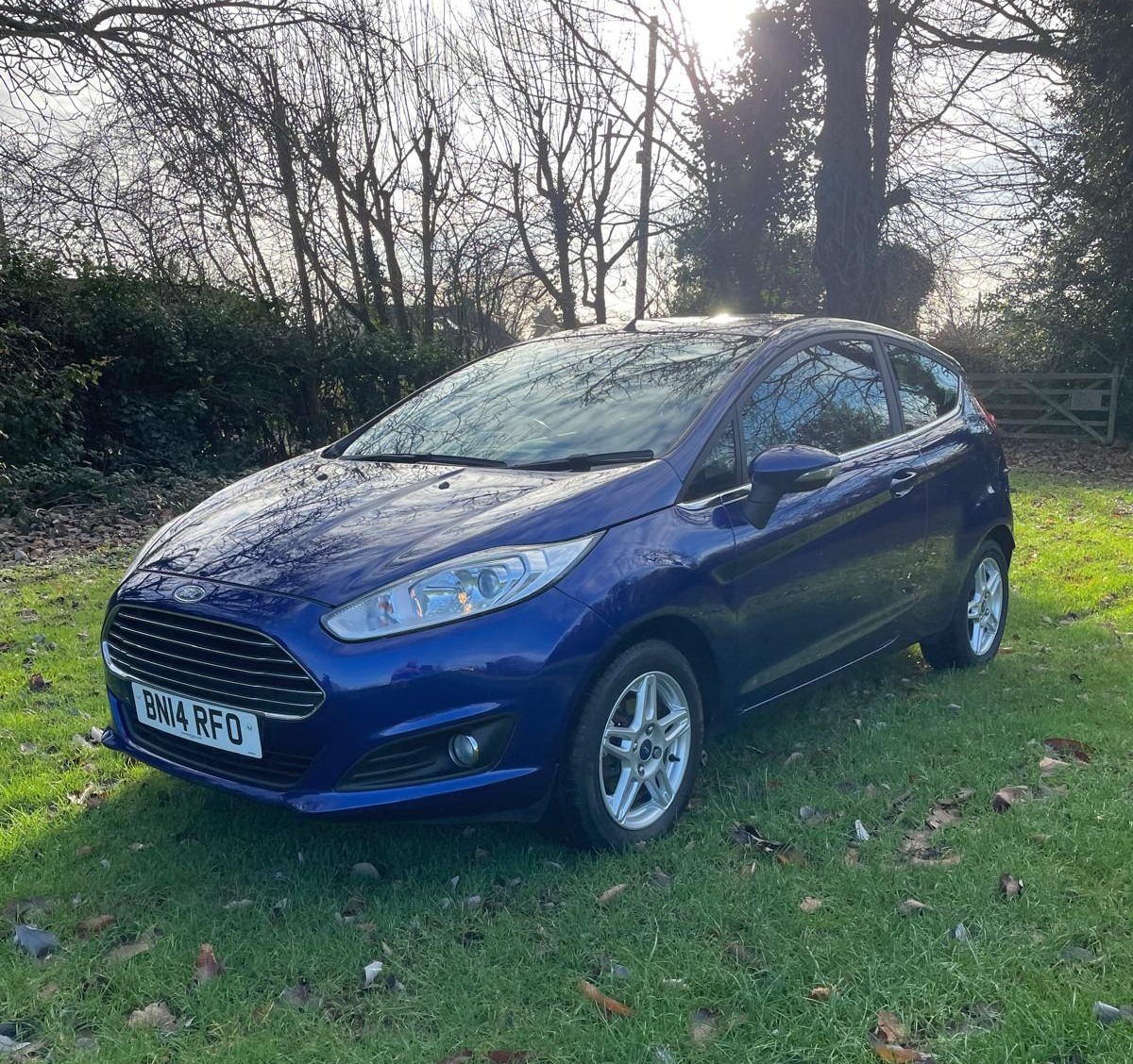Used Ford Fiesta 2014 for sale - 77005555: Photo 3
