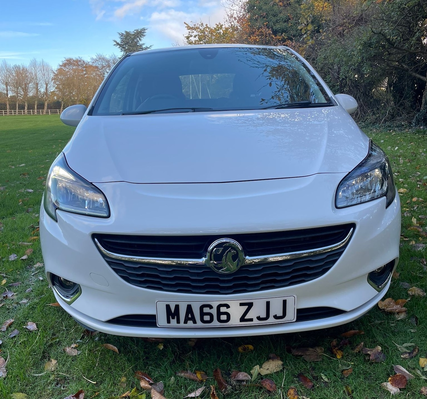 Used Vauxhall Corsa 2016 for sale - 76471317: Photo 13