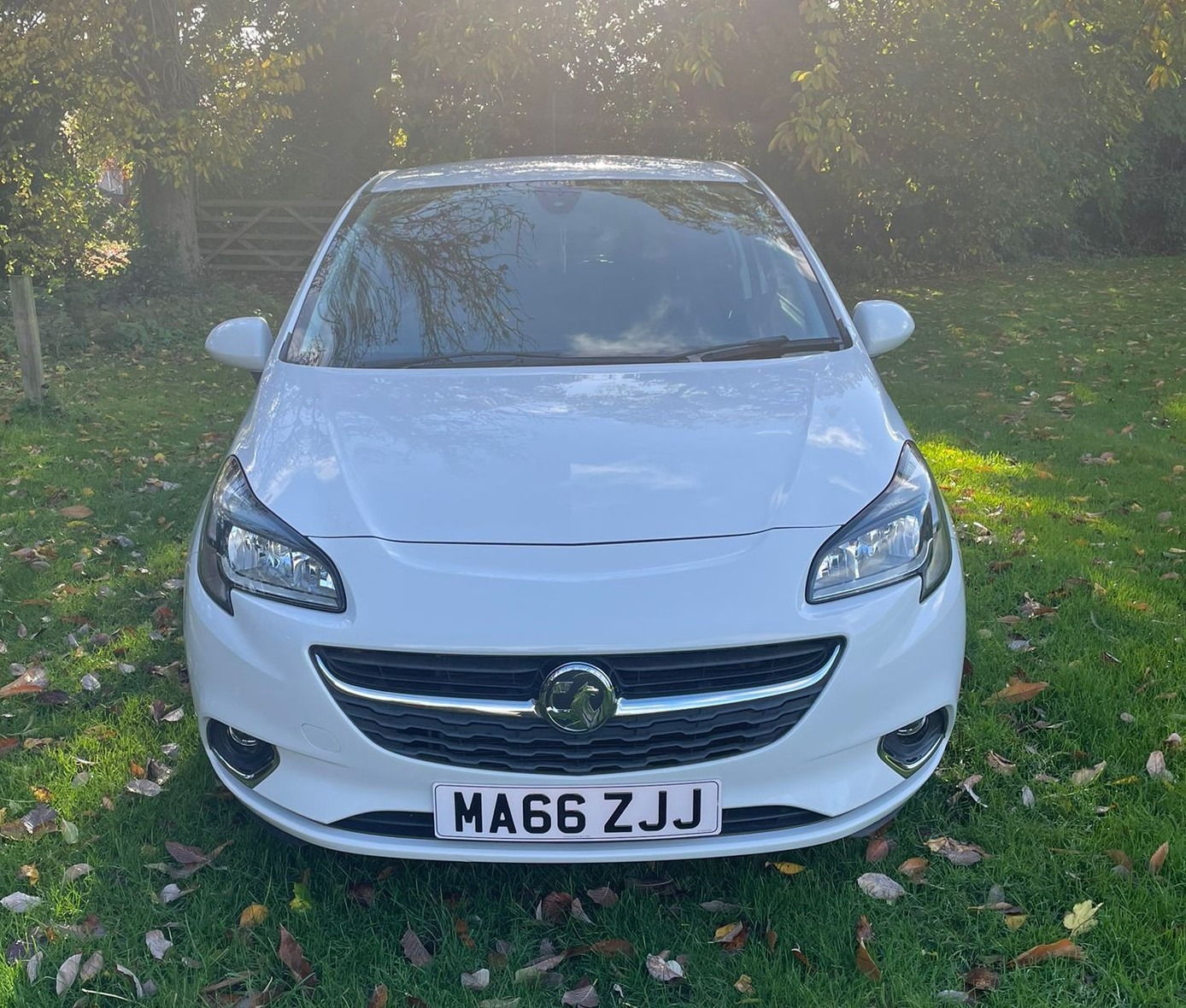 Used Vauxhall Corsa 2016 for sale - 76471317: Photo 4