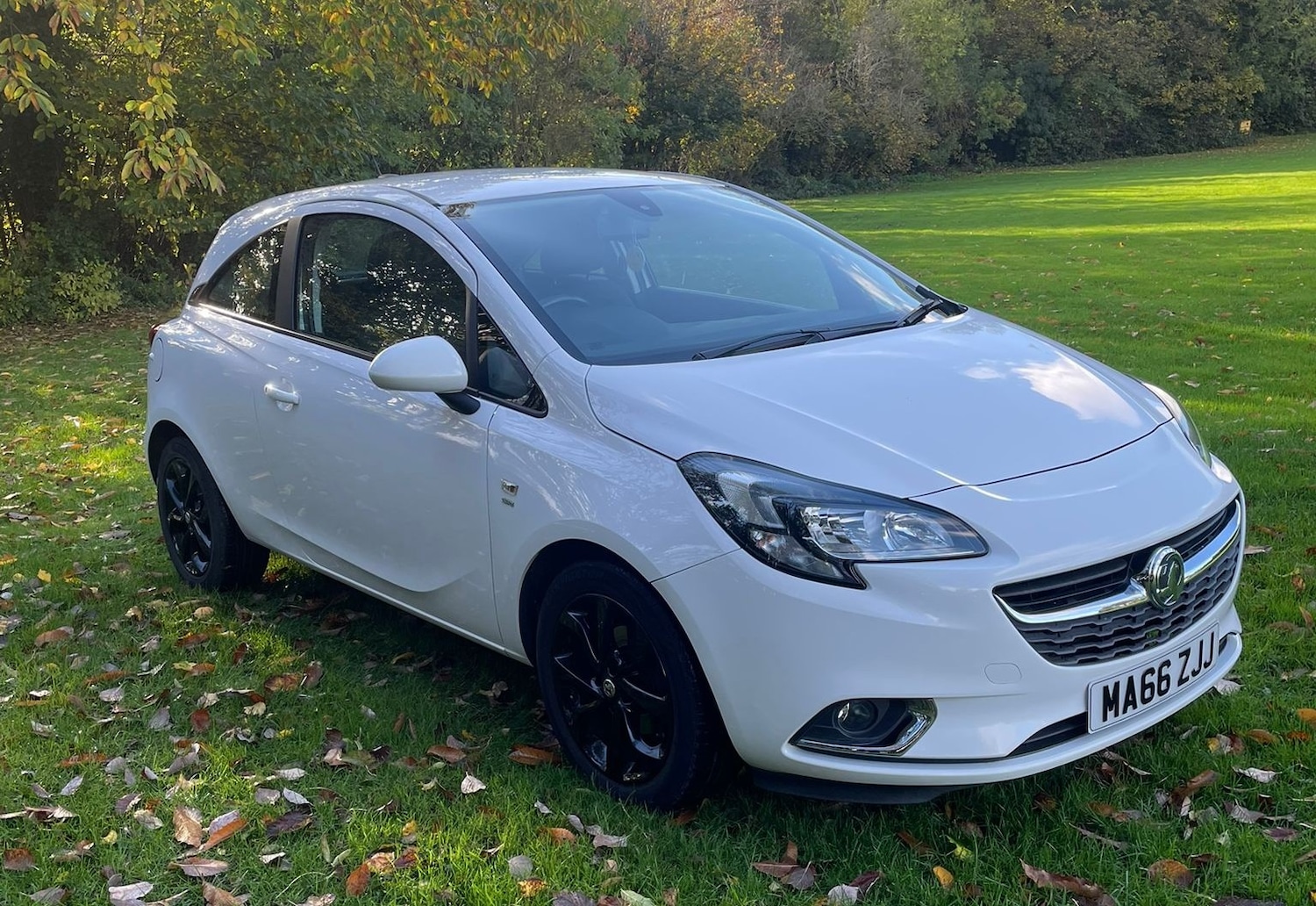 Used Vauxhall Corsa 2016 for sale - 76471317: Photo 8