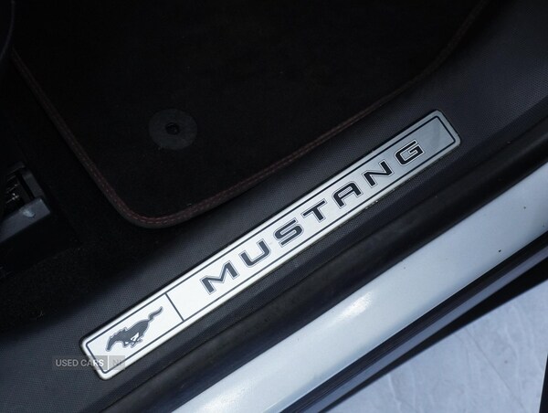 Used Ford Mustang Mach-E 2021 for sale - 76551425: Photo 31