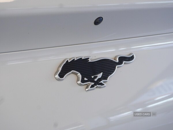 Used Ford Mustang Mach-E 2021 for sale - 76551425: Photo 34