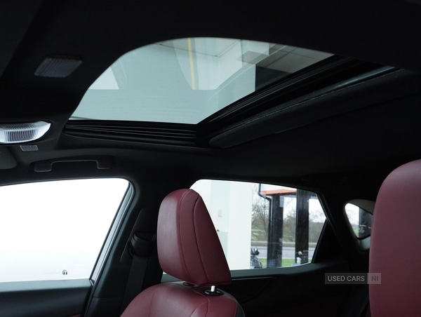 Used Lexus NX 2022 for sale - 77280206: Photo 10